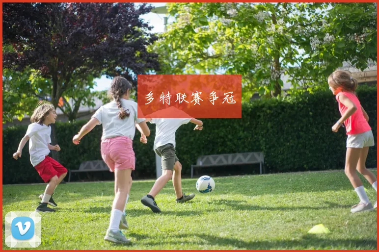 多特联赛争冠
